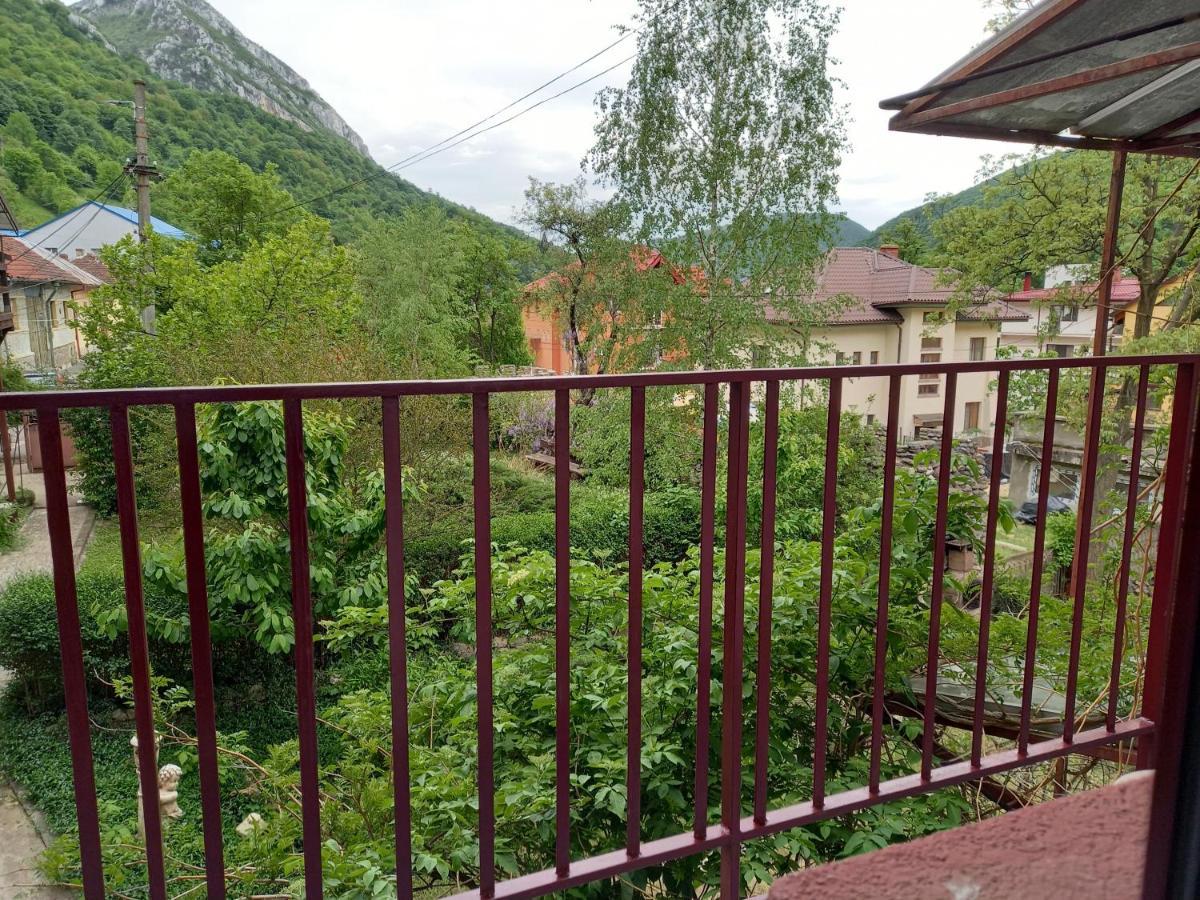 Hotel ELITE Băile Herculane Buitenkant foto
